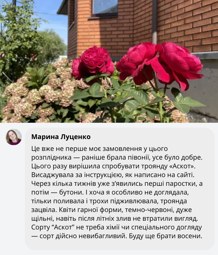 Заголовок