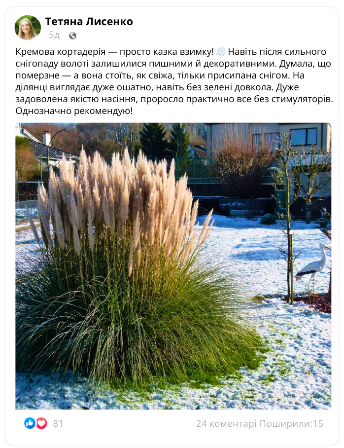 Заголовок
