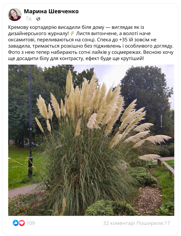 Заголовок