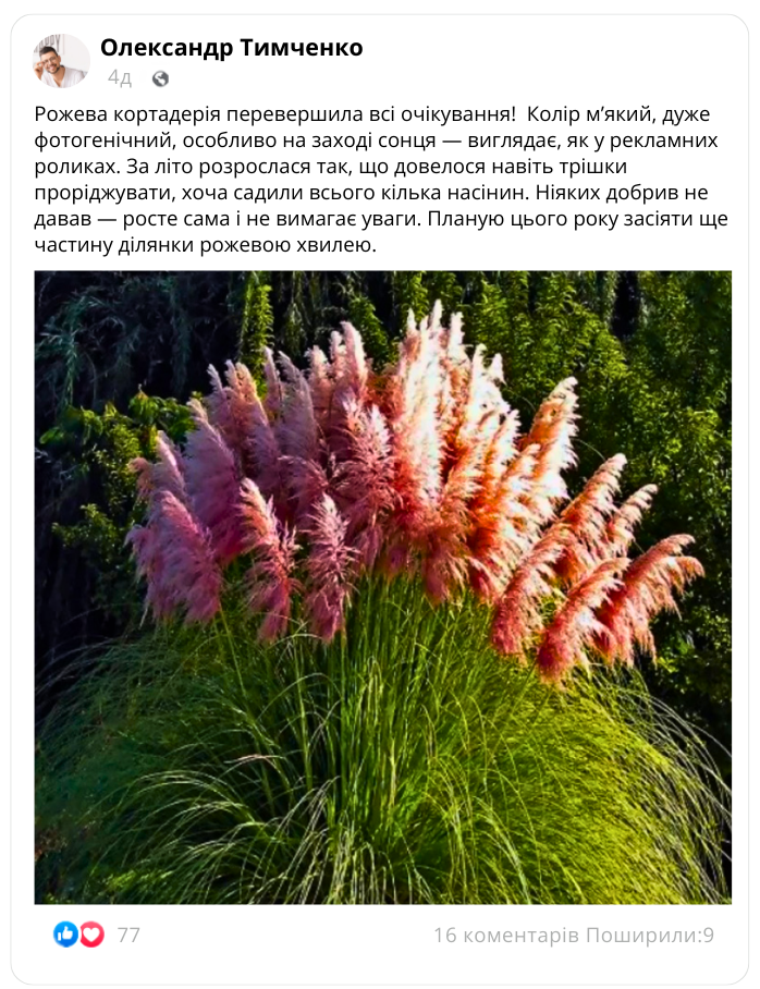 Заголовок