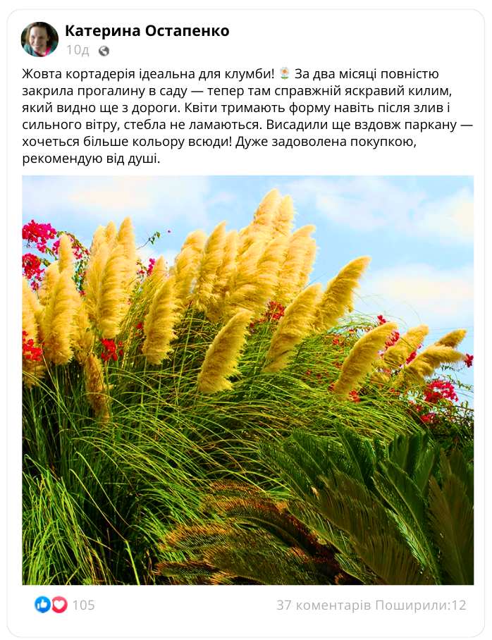 Заголовок