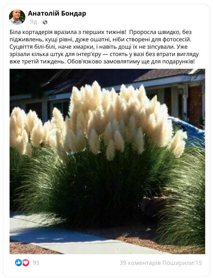 Заголовок