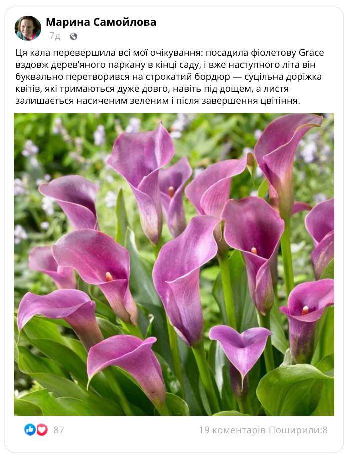 Заголовок