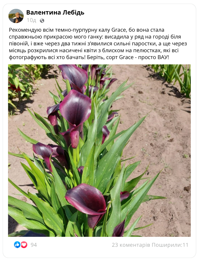 Заголовок