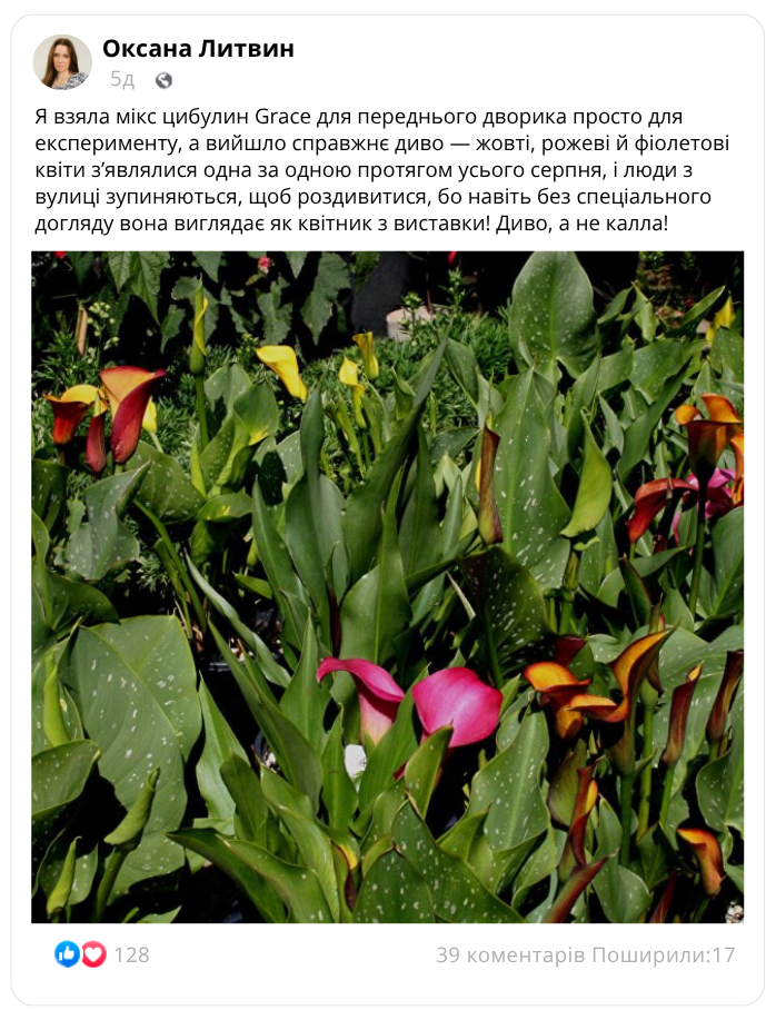 Заголовок
