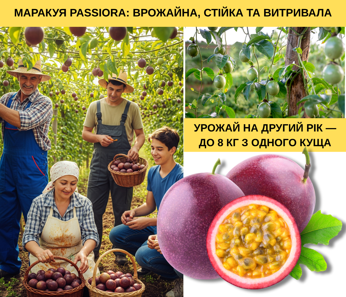 Заголовок