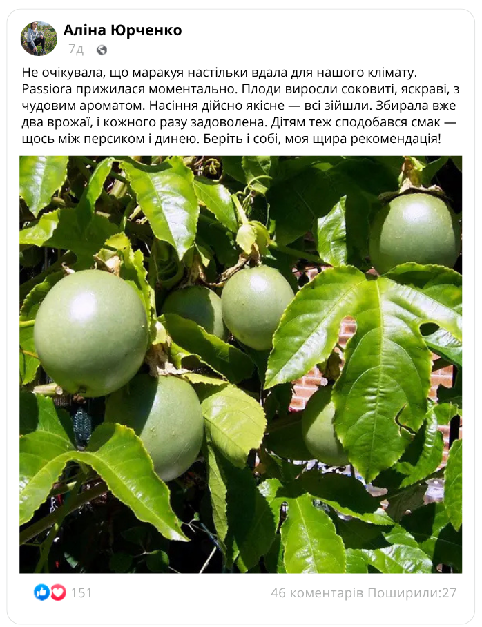 Image title