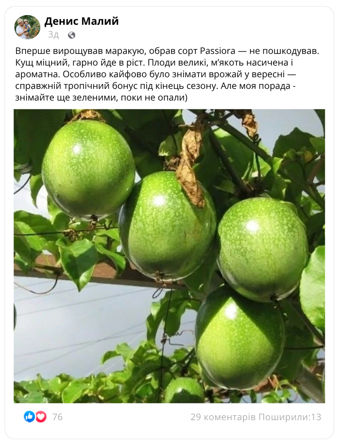 Image title