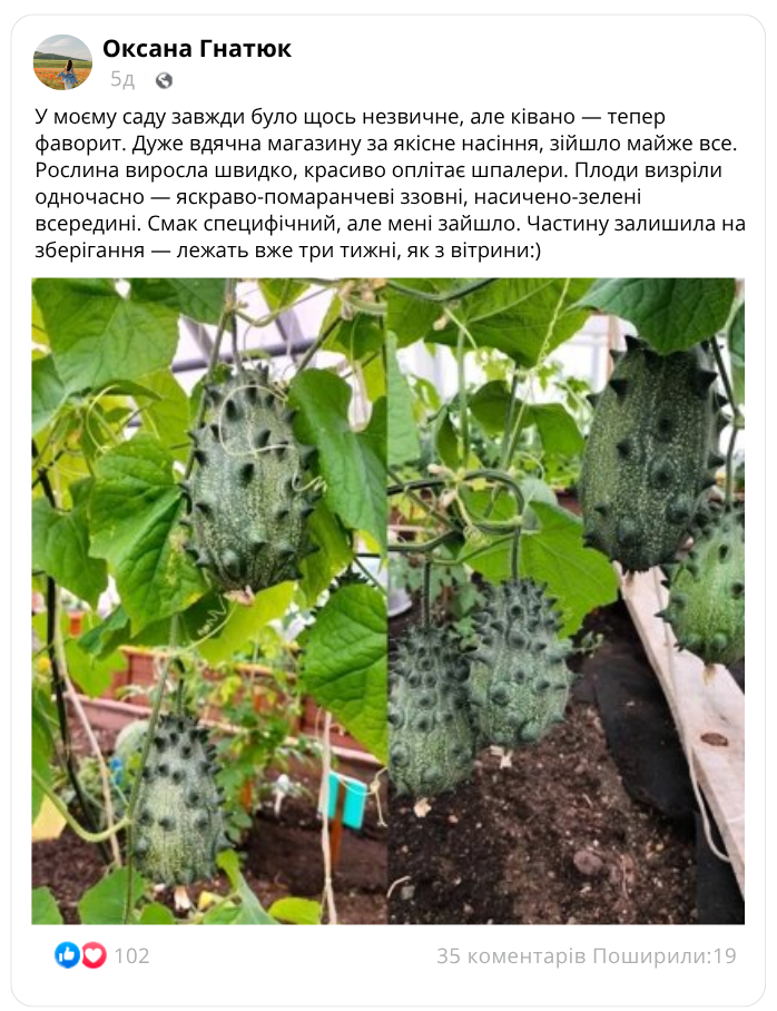 Заголовок