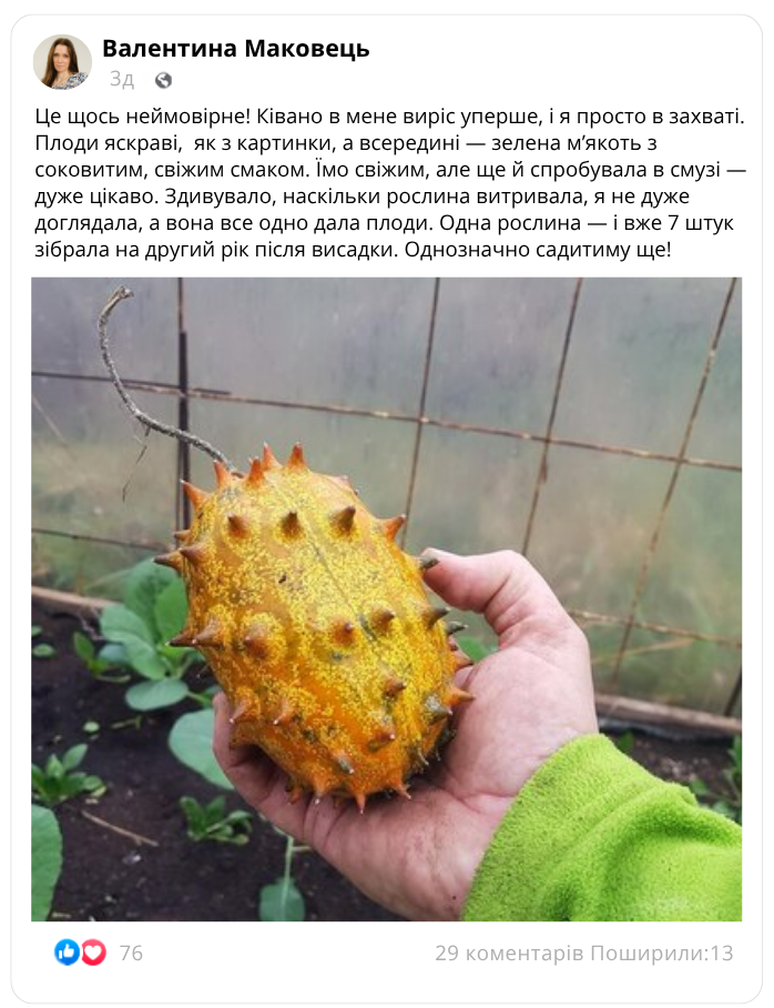 Заголовок
