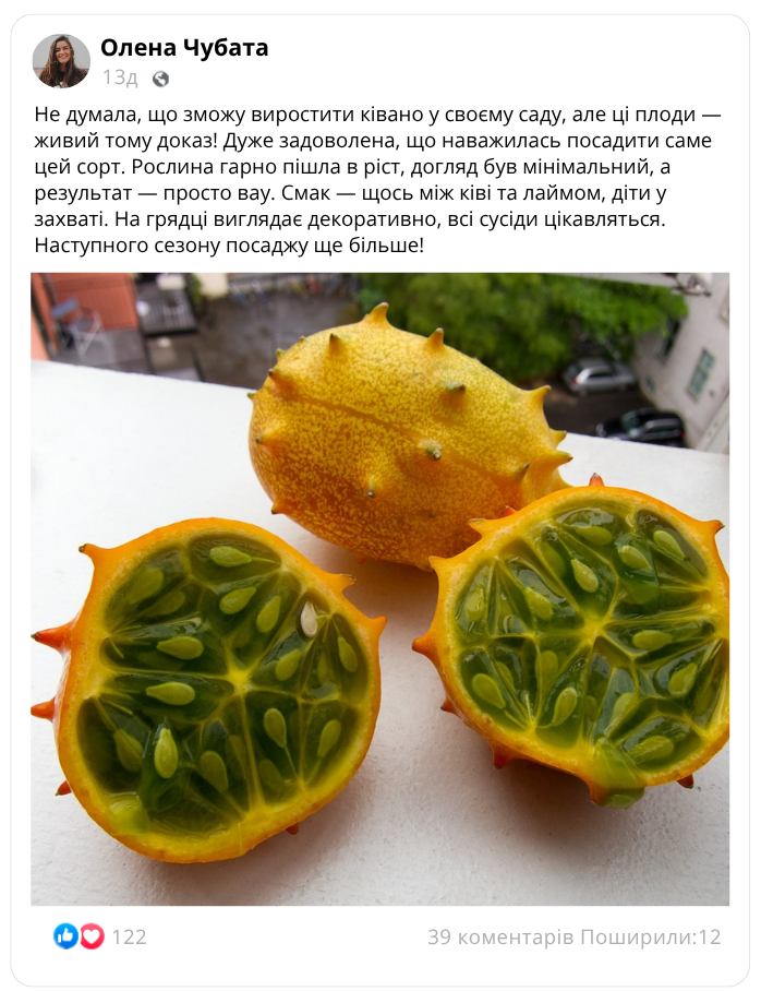 Заголовок