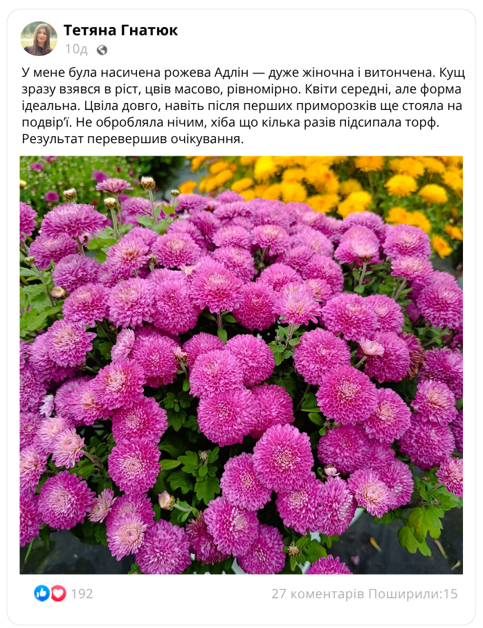 Заголовок