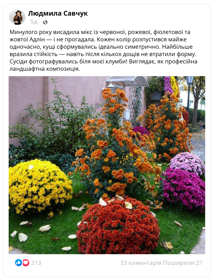 Заголовок