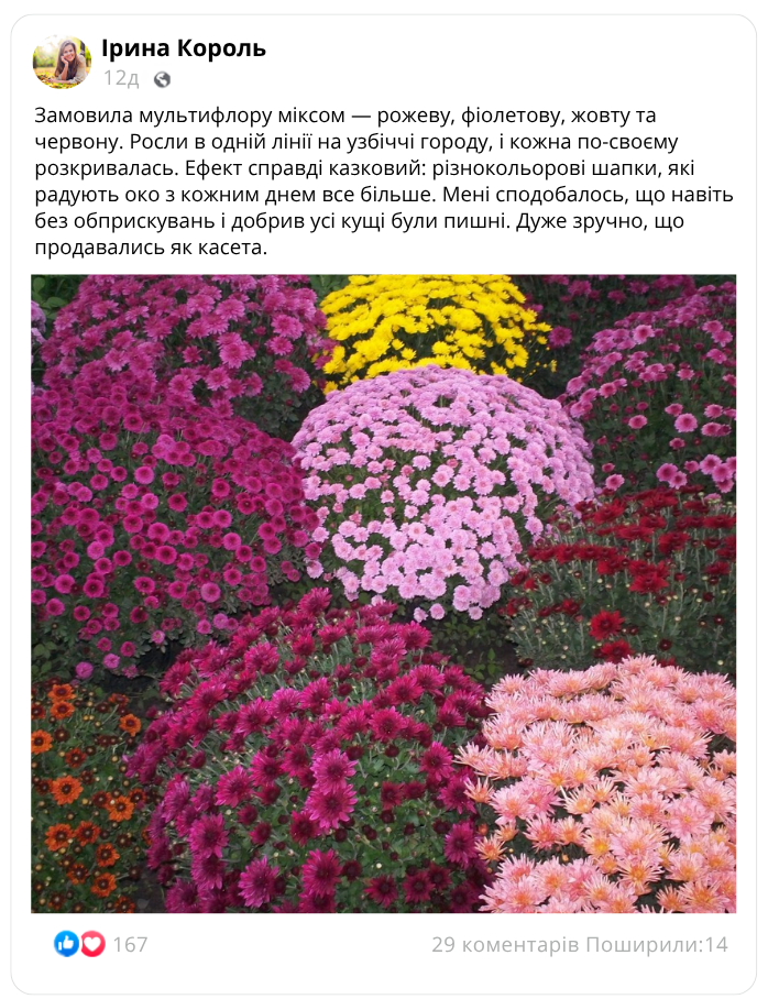 Заголовок