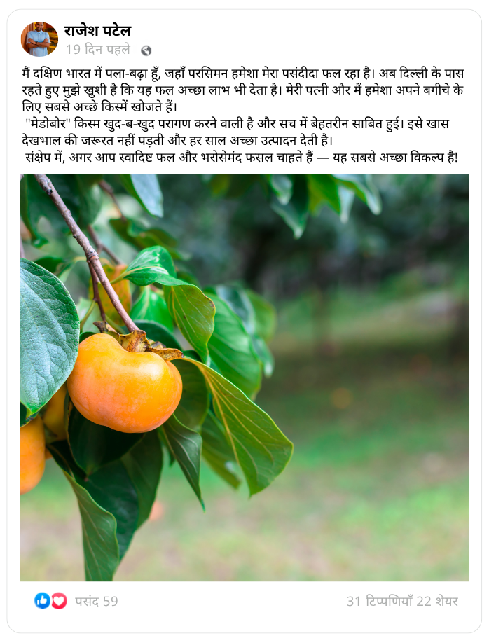 शीर्षक