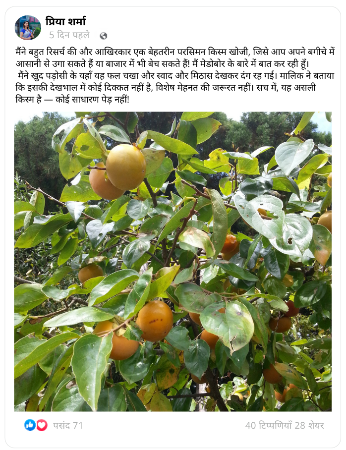 शीर्षक