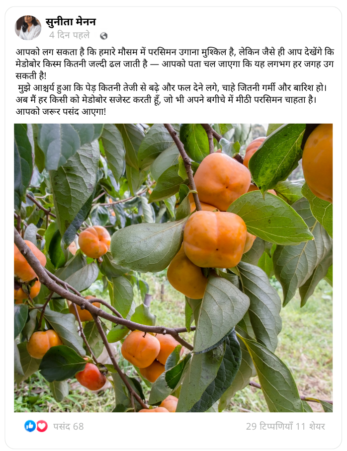 शीर्षक