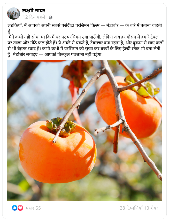 शीर्षक