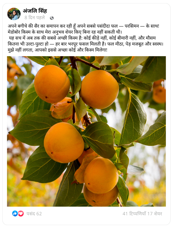 शीर्षक