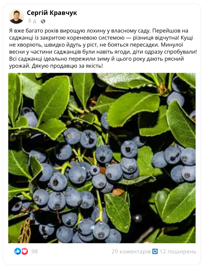 Заголовок