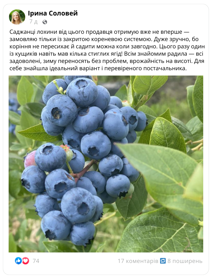Заголовок