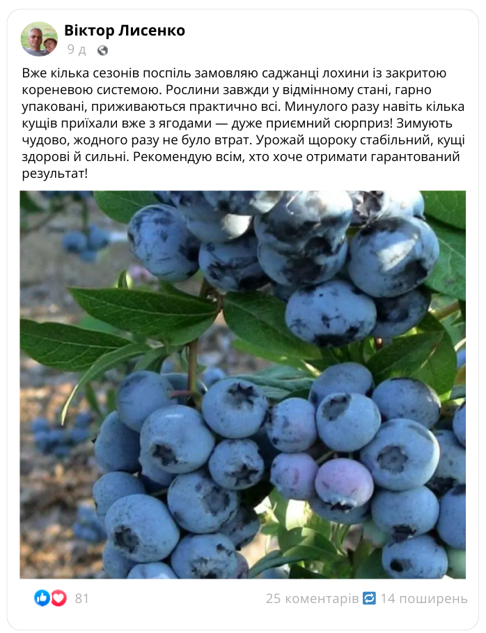 Заголовок