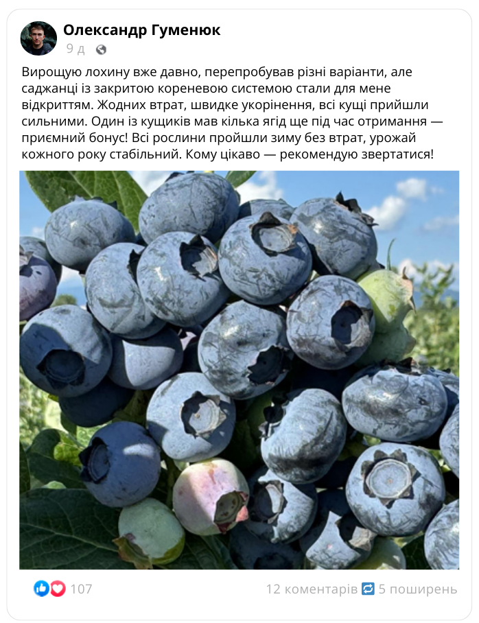 Заголовок
