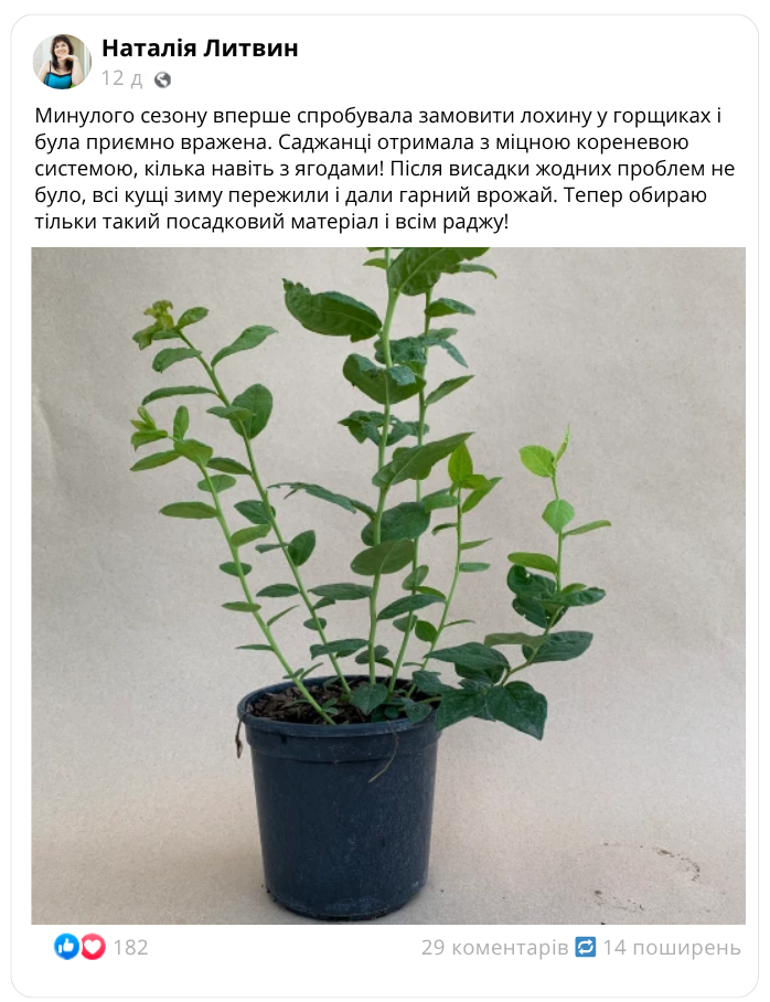 Заголовок