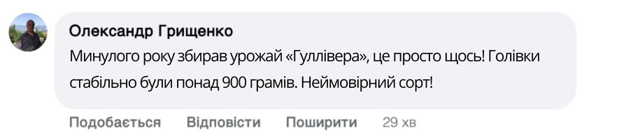 Заголовок
