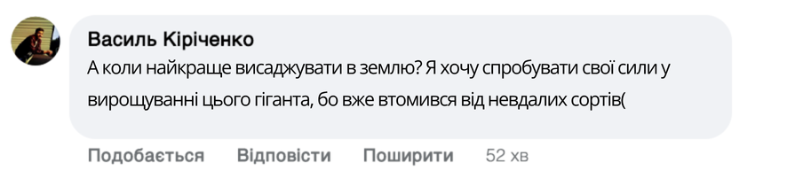 Заголовок