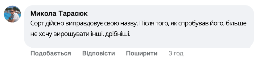 Заголовок