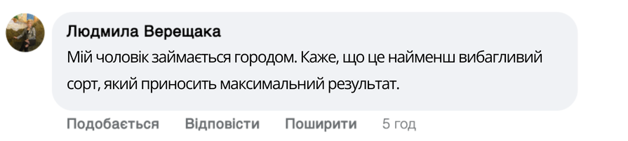 Заголовок