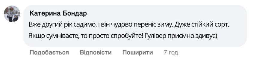 Заголовок