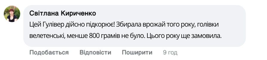 Заголовок