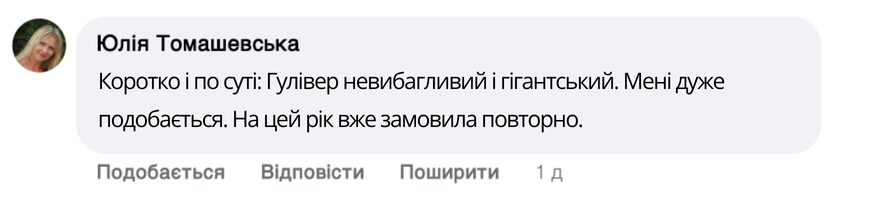 Заголовок