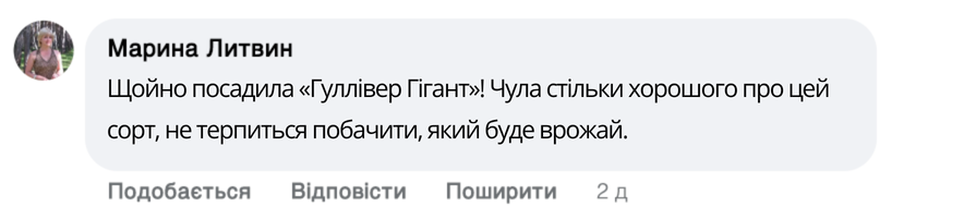 Заголовок