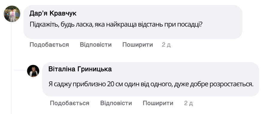 Заголовок