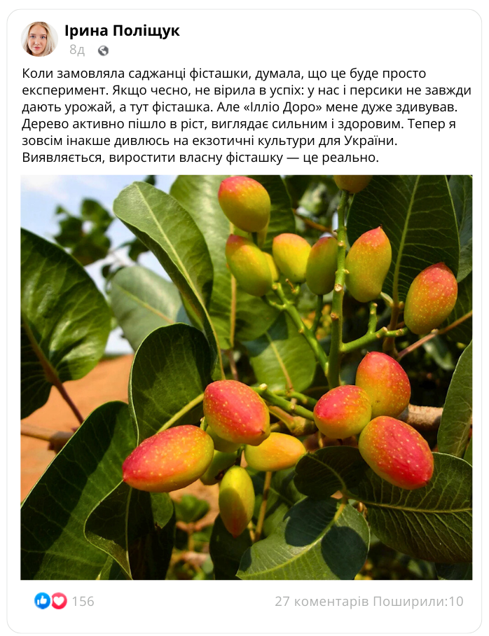 Заголовок