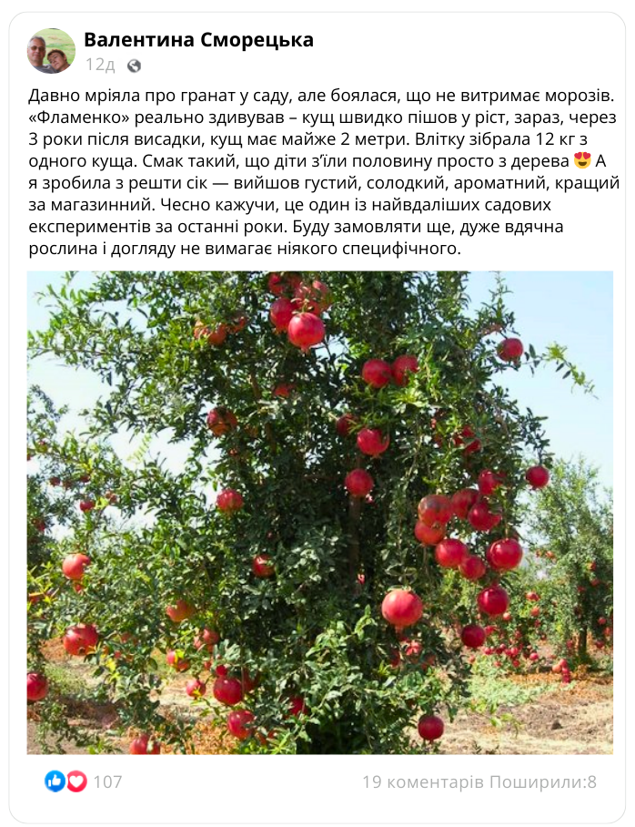 Заголовок