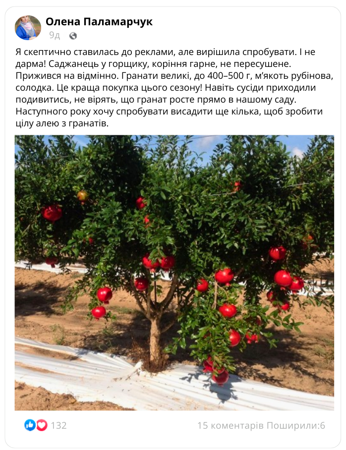 Заголовок