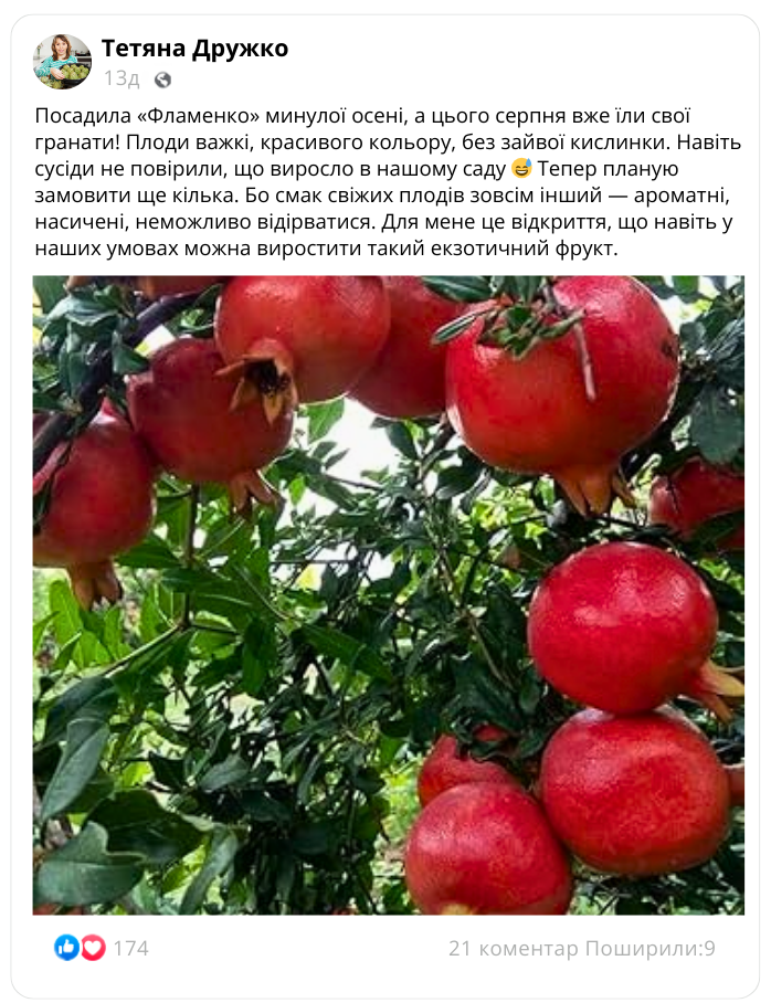 Заголовок