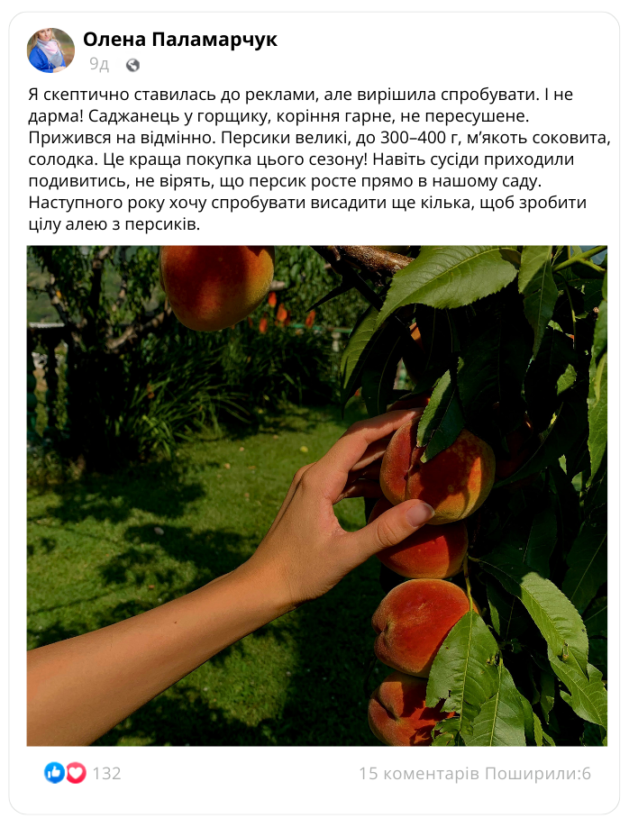 Заголовок