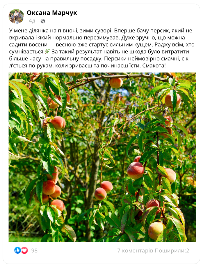 Заголовок