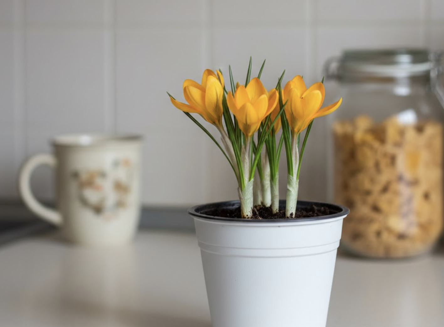 Портрет человека