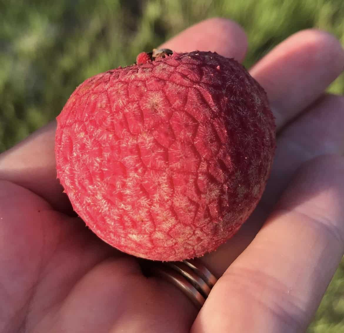 Портрет человека