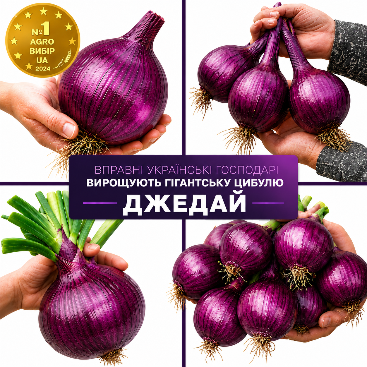 Цибуля Джедай
