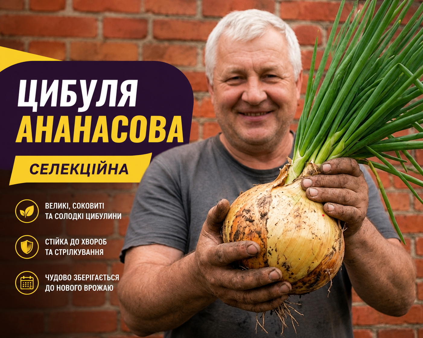 Цибуля Ананасова