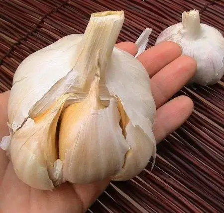 Фото від Олени